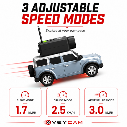 Mini RC Car